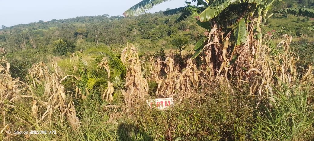 Residential Plot in Kikandwa located in Kikandwa, Hoima Road, Wakiso District - Sarah Sanctuary Homes